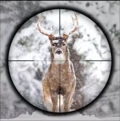 Gazi Sniper 3-18x56 SFP