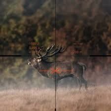 Swarovski dS Gen. II 5-25x52