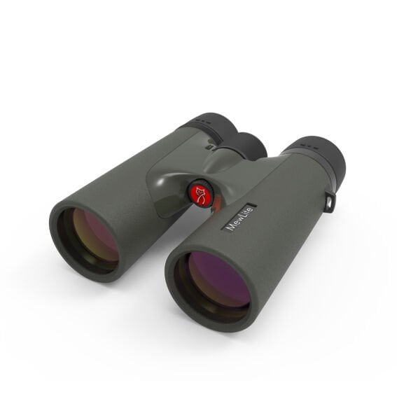 MEWLİTE ETERNALS PRO 10X42