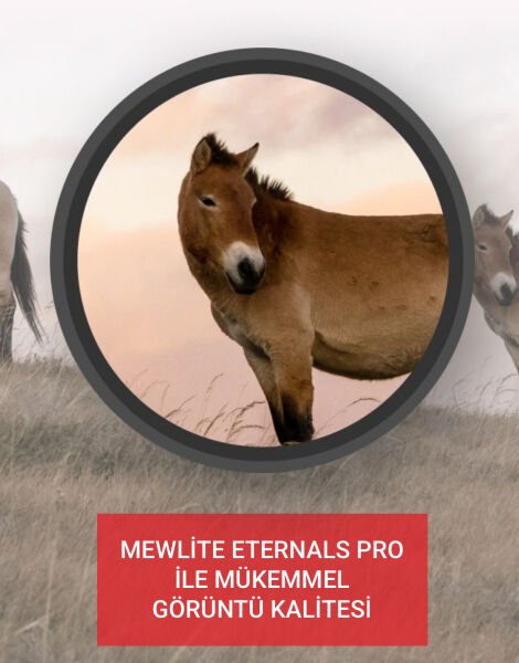 MEWLİTE ETERNALS PRO 10X42