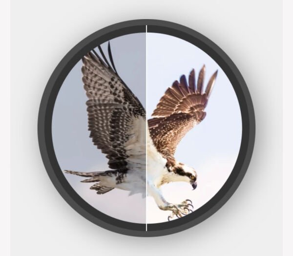 MEWLİTE ETERNALS PRO 10X42